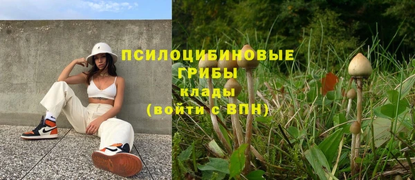 круглые Алексин