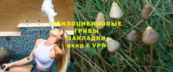 ПСИЛОЦИБИНОВЫЕ ГРИБЫ Алексеевка