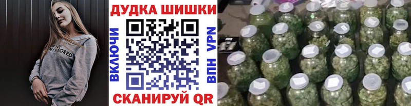 наркотики  Североуральск  Конопля SATIVA & INDICA 